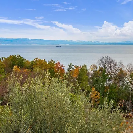 Pet Friendly In 펜션 *