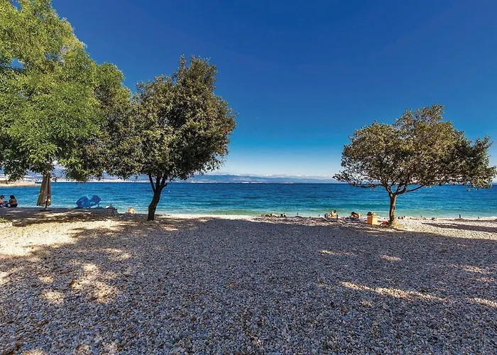 Pet Friendly In * Medveja