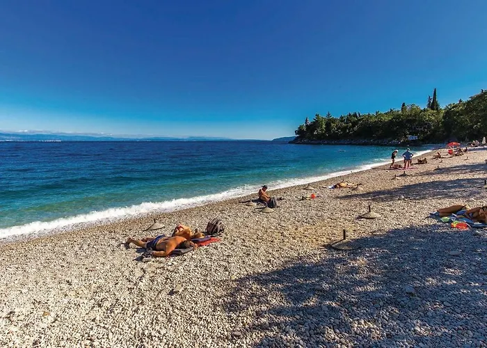 Tatil Evi Pet Friendly In Medveja