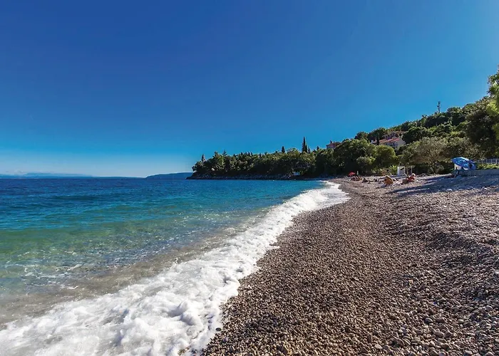 Pet Friendly In Tatil Evi Medveja