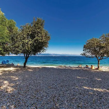 Pet Friendly In * Medveja
